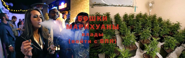 сатива Аркадак